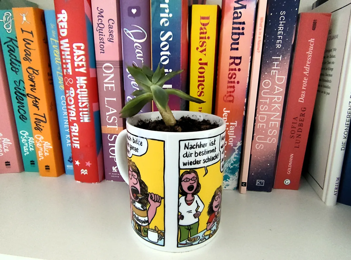 Die Tassen eignen sich als Deko – oder als Geschenkidee. Man sieht eine Sukkulente in einer Tasse auf einem Büchergestell.